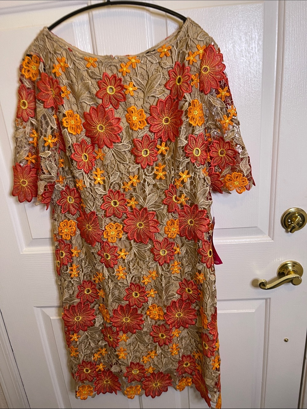 ALEX MARIE DRESS  (NWT) from Dillards Tan with Floral Lace Overlay